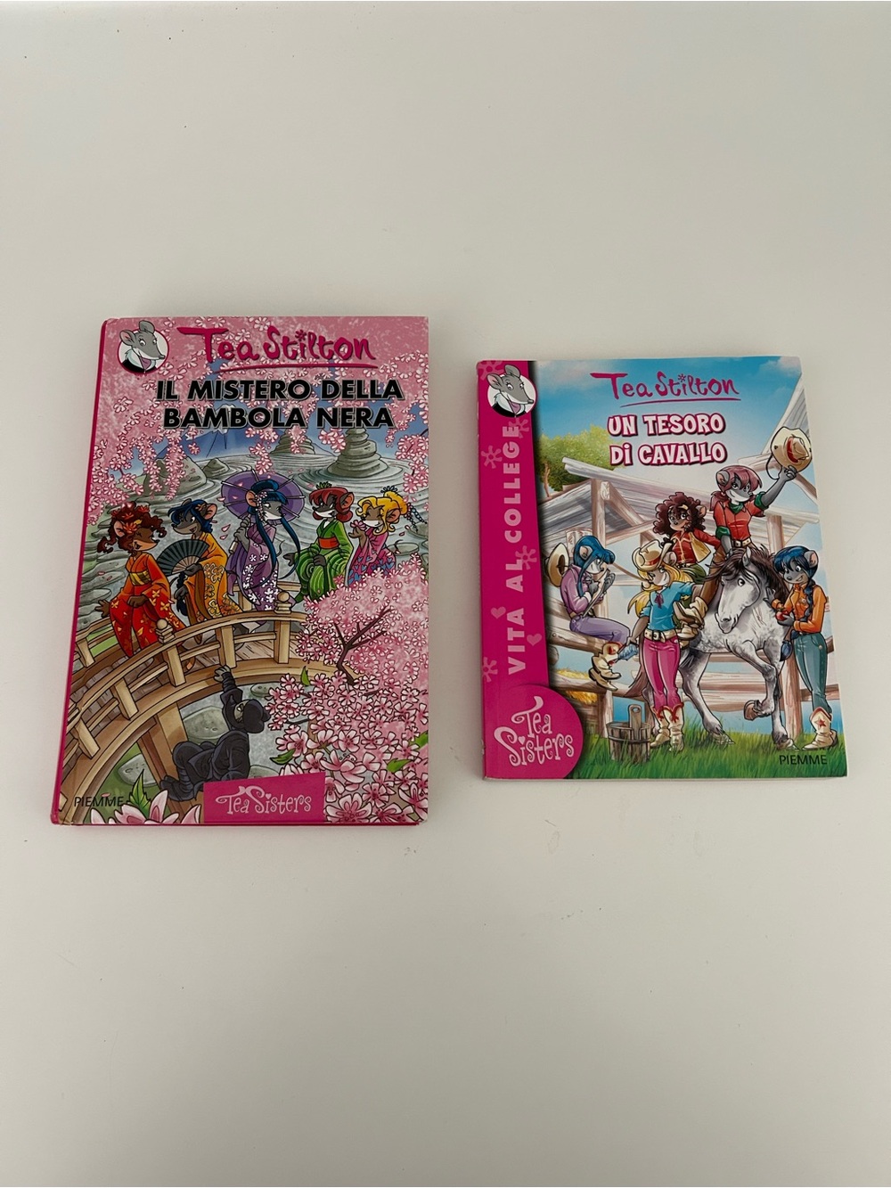 Tea Stilton Books in Spanish - set of 2 books Lot